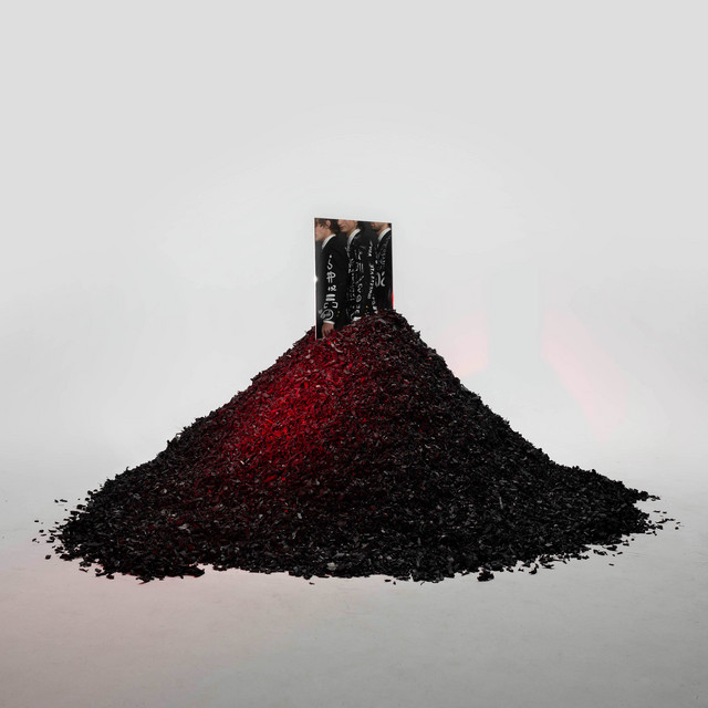 SELF TITLED album cover