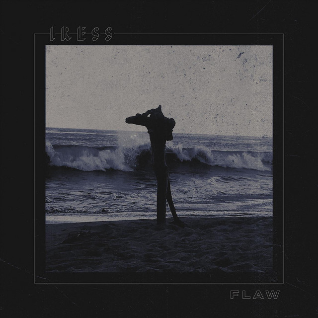 Flaw album cover