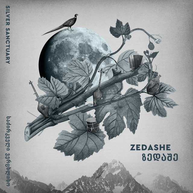 Silver Sanctuary album cover