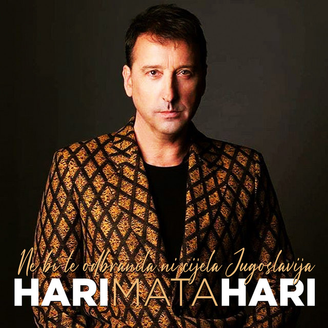 Ne bi te odbranila ni cijela Jugoslavija album cover