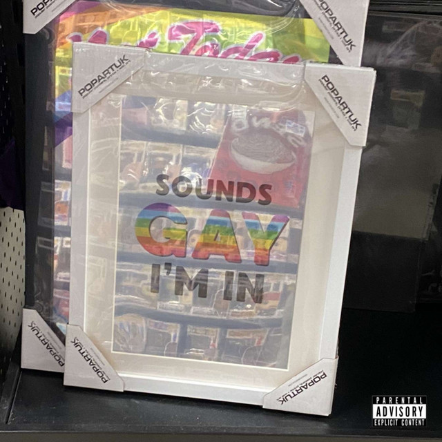 SOUNDS GAY I'M IN album cover
