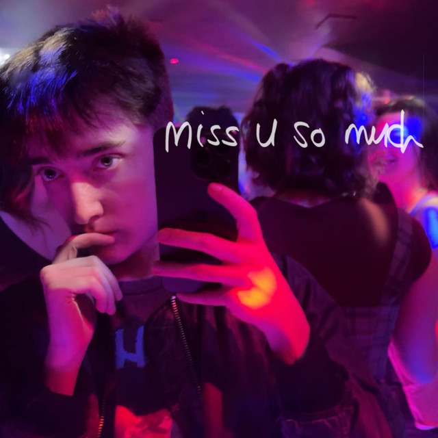 ZEDNED – miss u so much album cover