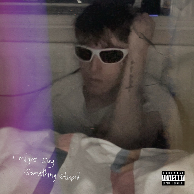 i might say something stupid album cover