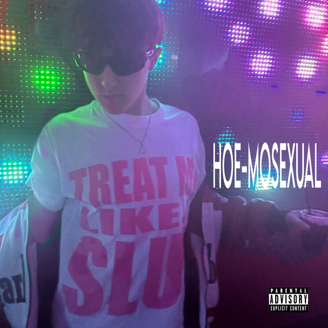 ZEDNED – HOE-MOSEXUAL album cover