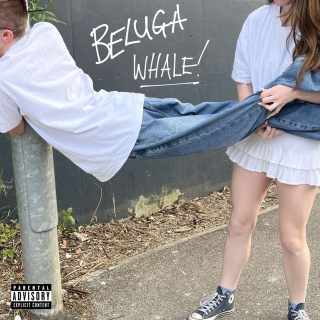 ZEDNED – Beluga whale album cover