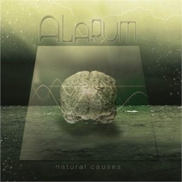 Natural Causes album cover