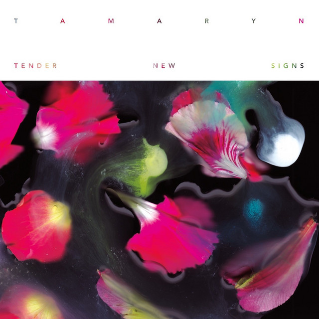 Tender New Signs album cover