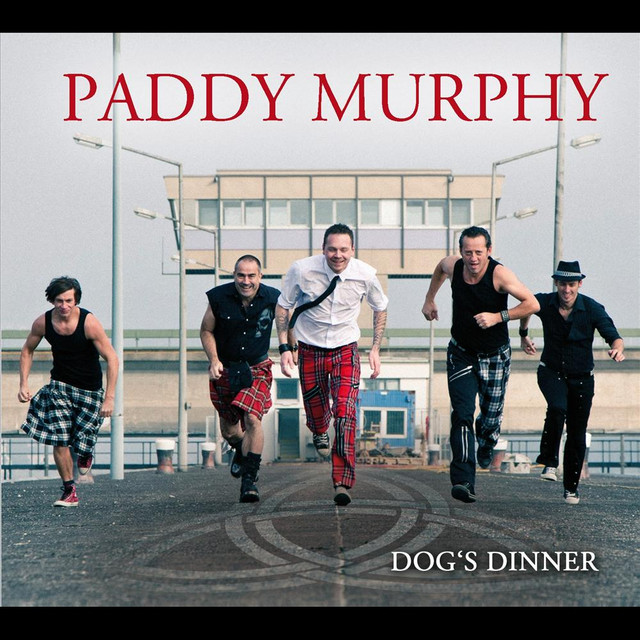 Dog's Dinner album cover