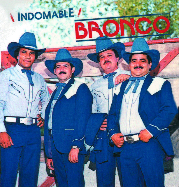 Indomable album cover