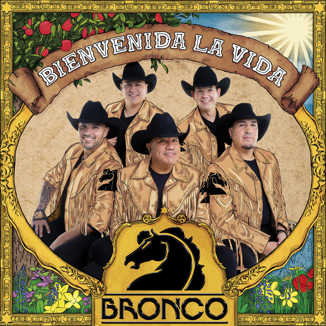 Bienvenida La Vida album cover