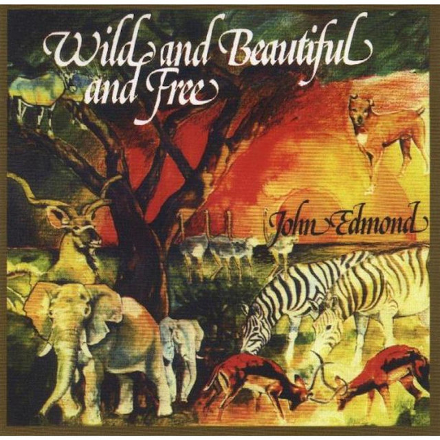 Wild and Beautiful and Free album cover