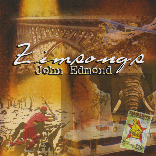 Zimsongs album cover