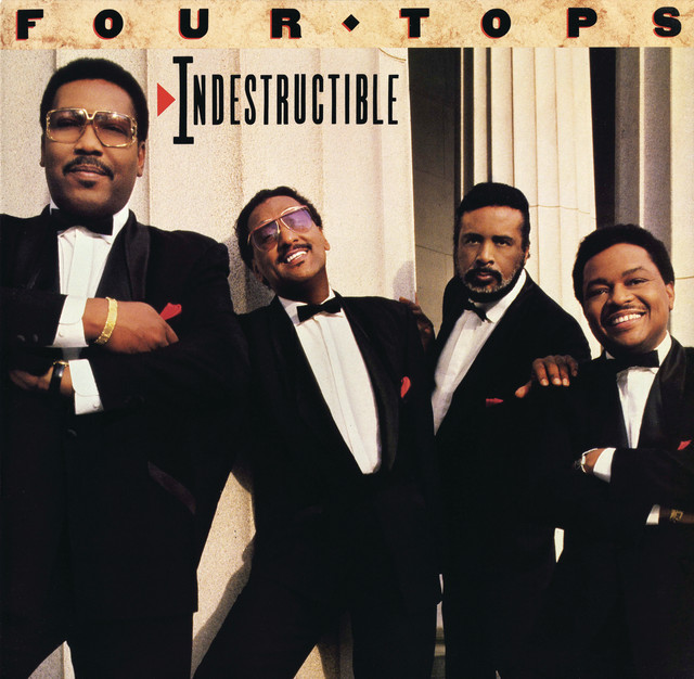 Indestructible album cover