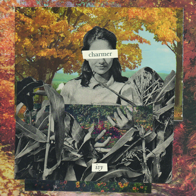 ivy album cover