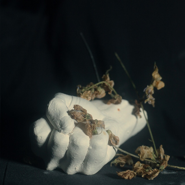 Pettyjohn Electronics Chime as heard on Violent God by Pain Magazine (2025)