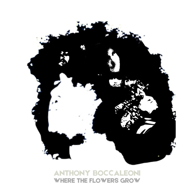 Epiphone John Lennon EJ-160E as heard on Where the Flowers Grow by Anthony Boccaleoni (2025)