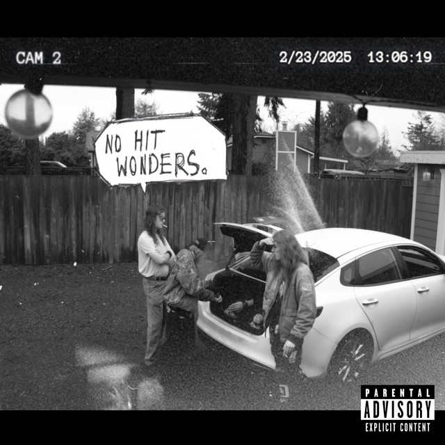 No Hit Wonders. album cover