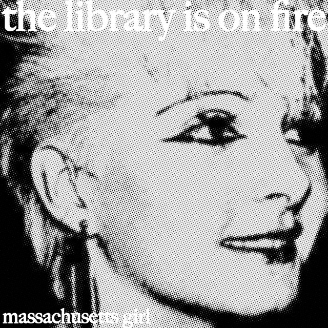 Mesa/Boogie Mark IV as heard on Massachusetts Girl by The Library Is on Fire (2024)