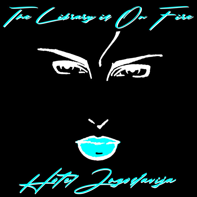 Ibanez RG7321 as heard on Hotel Jugoslavija (Paranoid Balkan Disco Remix) by The Library Is on Fire (2025)