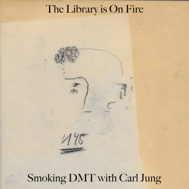 Ibanez RG7321 as heard on Smoking DMT With Carl Jung by The Library Is on Fire (2025)