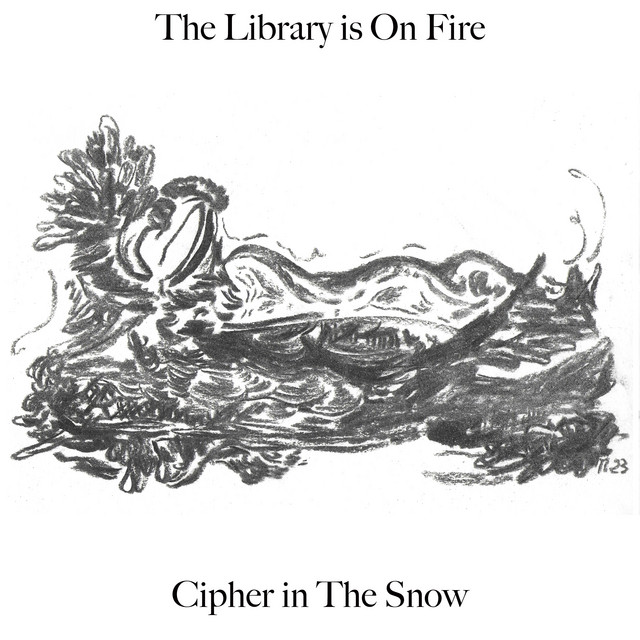 Ibanez RG7321 as heard on Cipher in The Snow by The Library Is on Fire (2025)