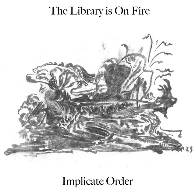 Ibanez RG7321 as heard on Implicate Order by The Library Is on Fire (2026)