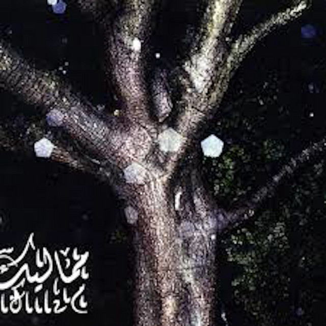 Mamaleek album cover