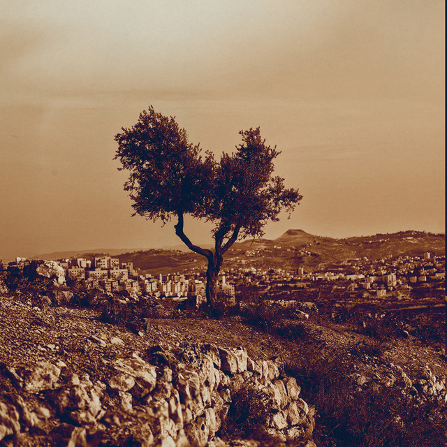 Cadejos + Those Who Pass Between Fleeting Words (Remastered 2025) album cover