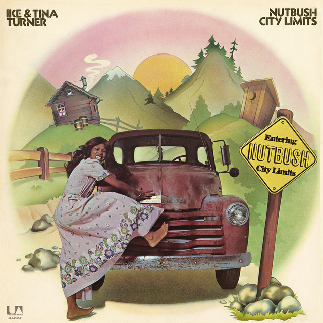 Nutbush City Limits album cover