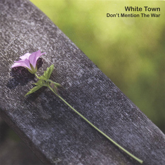 Don't Mention The War album cover