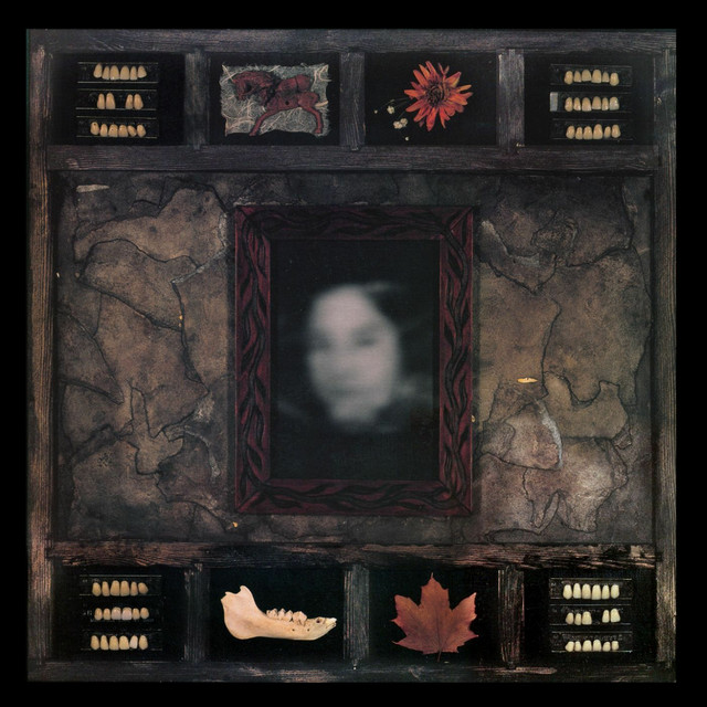 Face of Collapse album cover