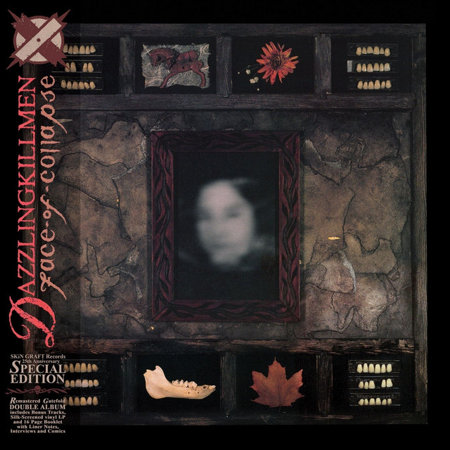 Face Of Collapse: Special Edition album cover