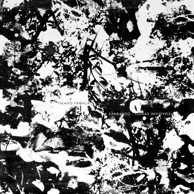 Sambanzo: Coisas Invisíveis album cover