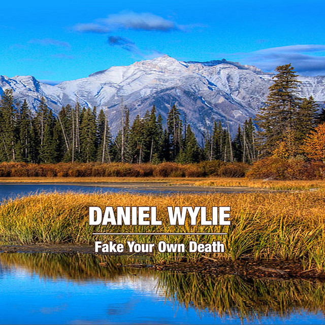 Fake Your Own Death album cover