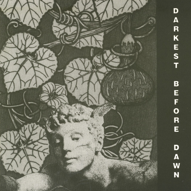 Darkest Before Dawn album cover