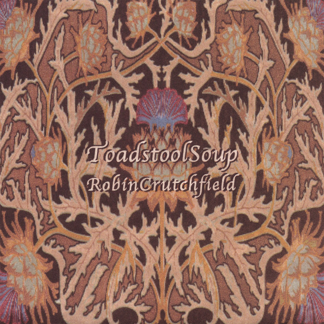 Toadstool Soup album cover