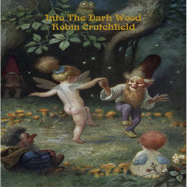 Into the Dark Wood album cover