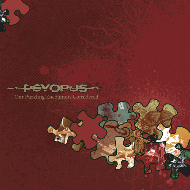 Our Puzzling Encounters Considered album cover