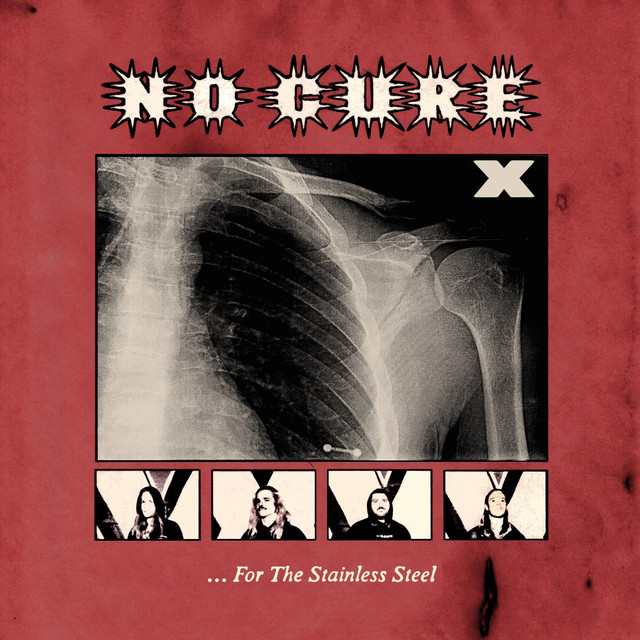 ...For The Stainless Steel album cover