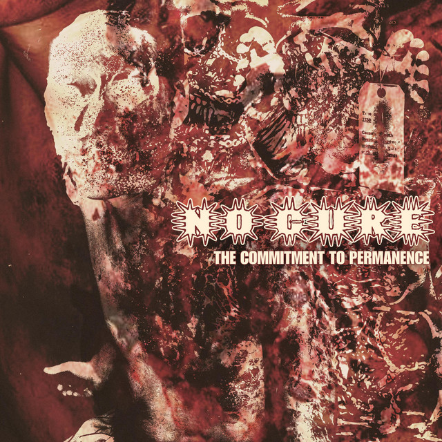 The Commitment To Permanence album cover