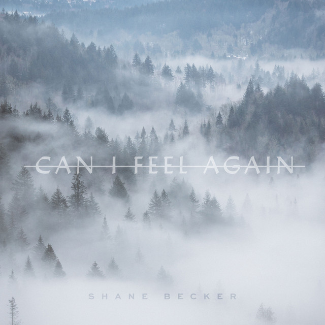 Can I Feel Again album cover