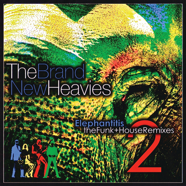 Elephantitis 2: The Funk + House Remixes album cover