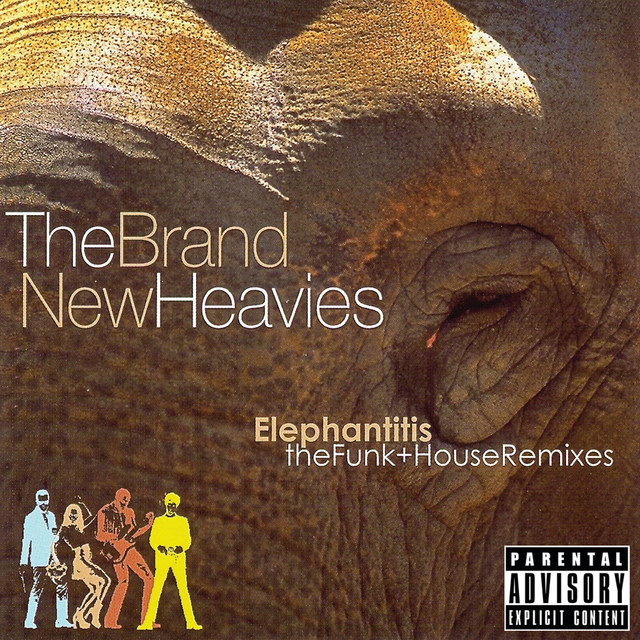 Elephantitis: The Funk + House Remixes album cover
