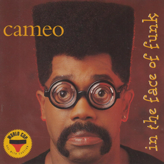 In the Face of Funk album cover