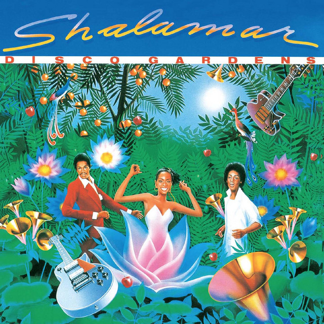Disco Garden album cover