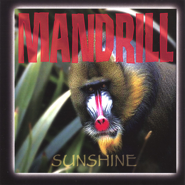 Sunshine album cover