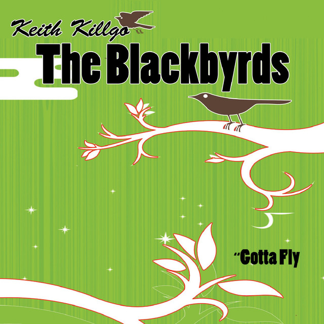 Gotta Fly album cover