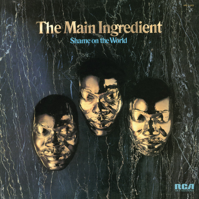 Shame on the World album cover