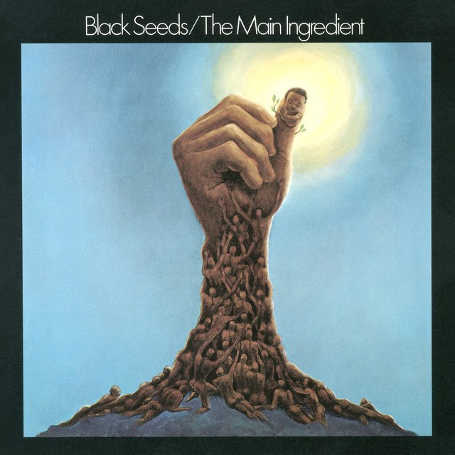 Black Seeds album cover