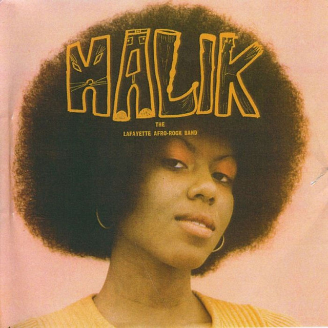 Malik album cover